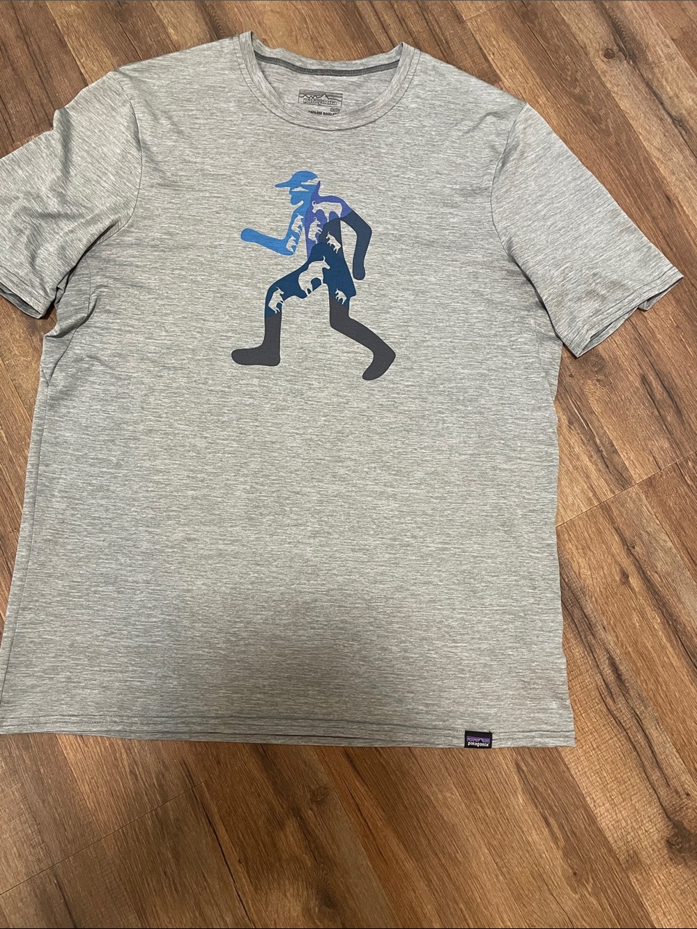 Patagonia Grey Short‑Sleeve Graphic Tee with Blue Accent
